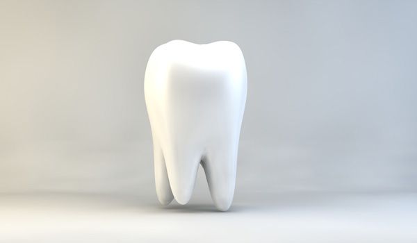 © artefacti - Fotolia.com